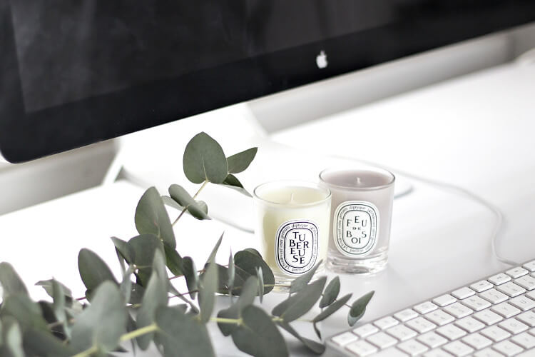Zwei Duftkerzen mit Etiketten und frische Eukalyptusblätter stehen auf einem Tisch vor einem Computerbildschirm.